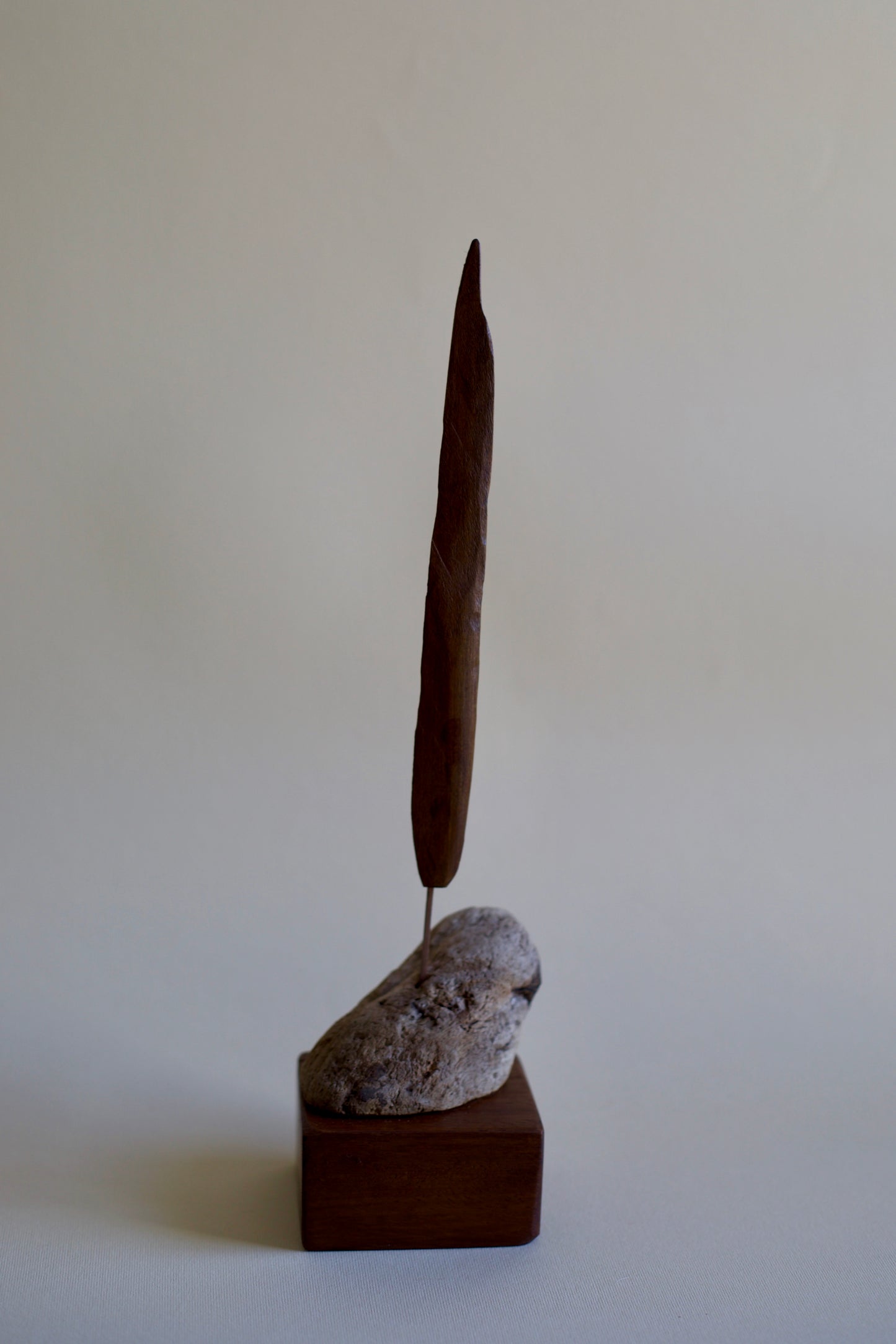 Cypress 02