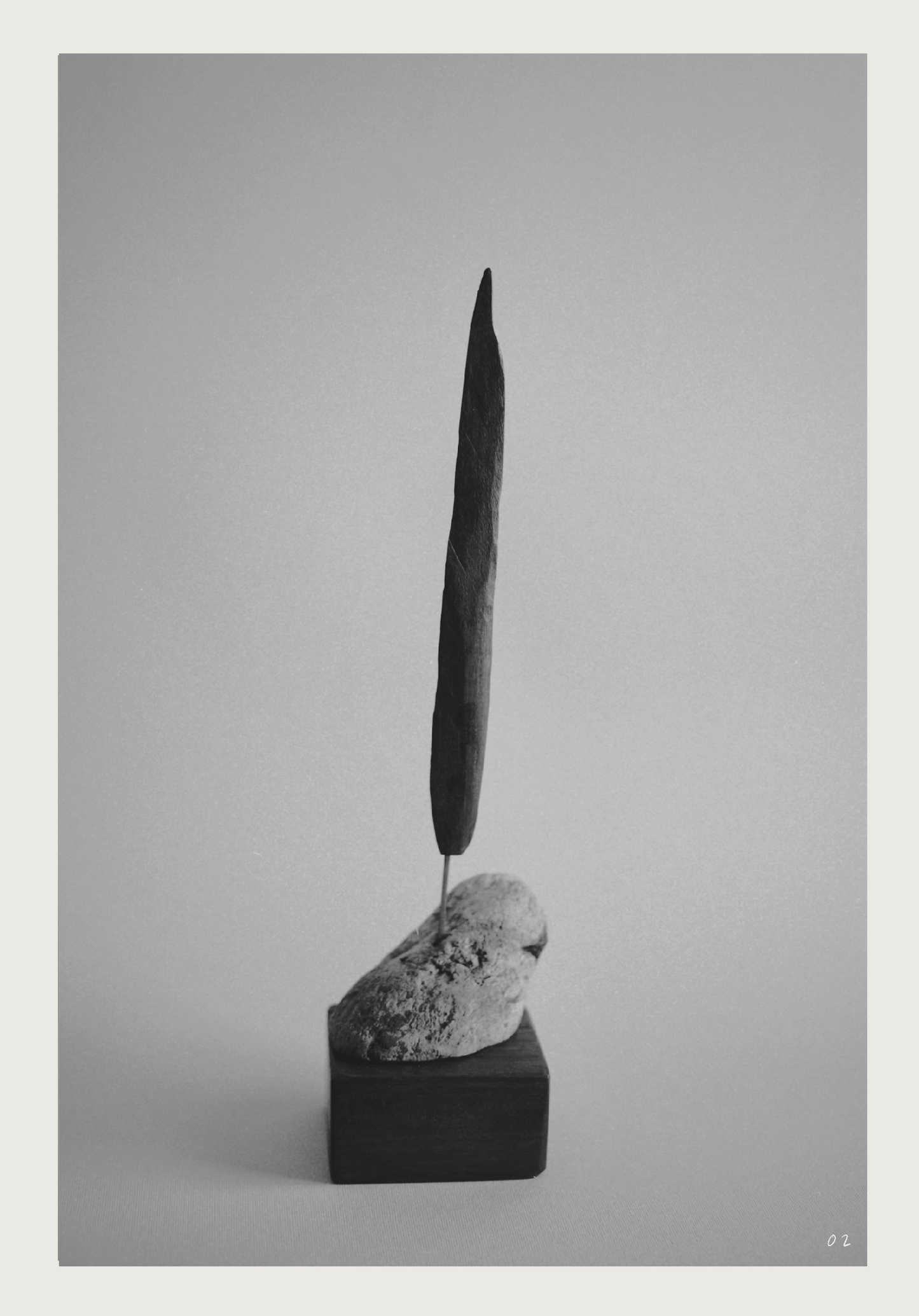 Cypress 02